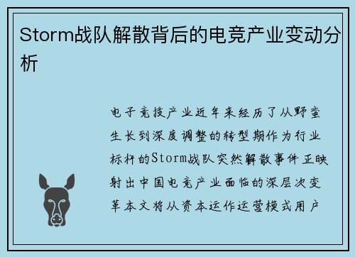 Storm战队解散背后的电竞产业变动分析